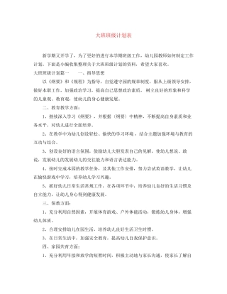 大班班级计划表