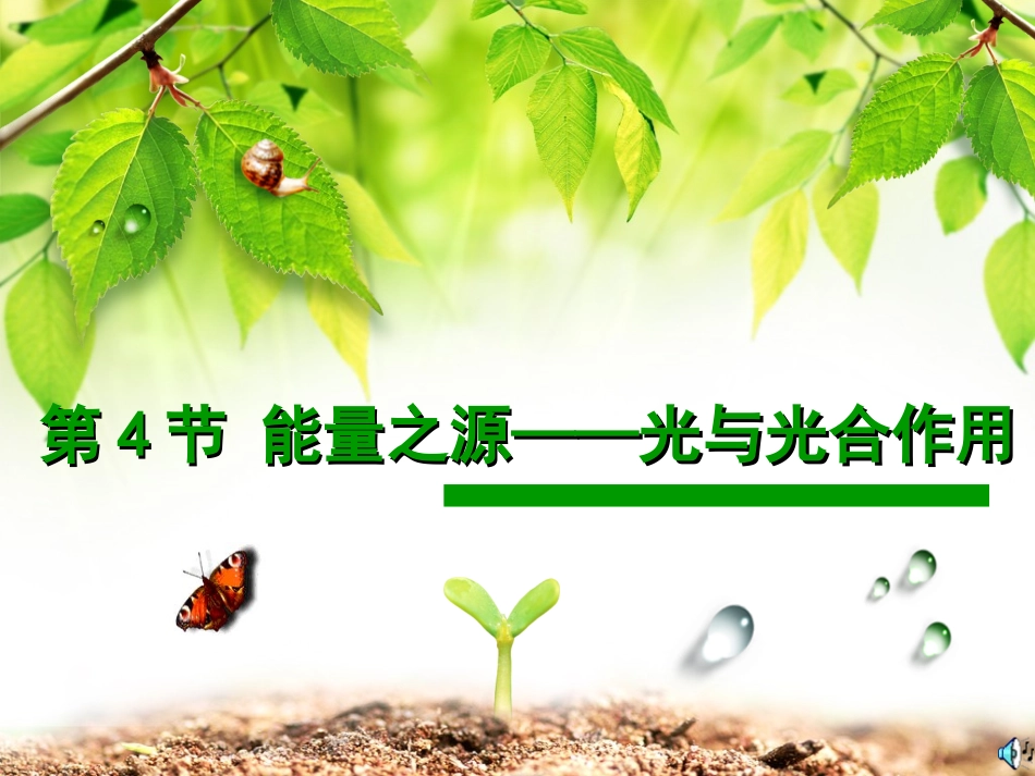 三光合作用与农业_第1页
