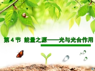 三光合作用与农业