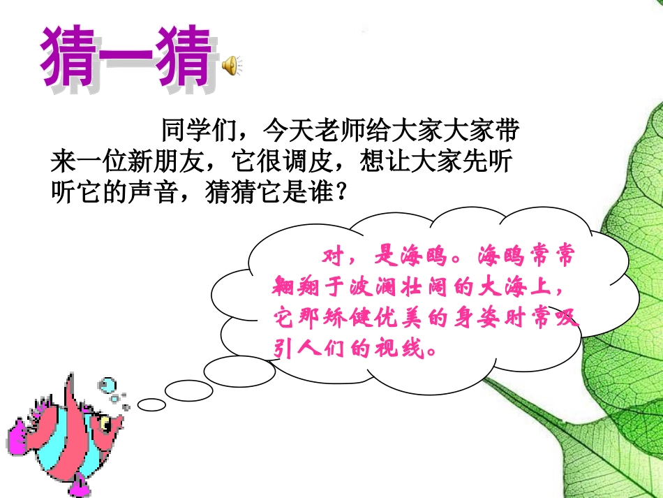 6飞吧-海鸥_第2页