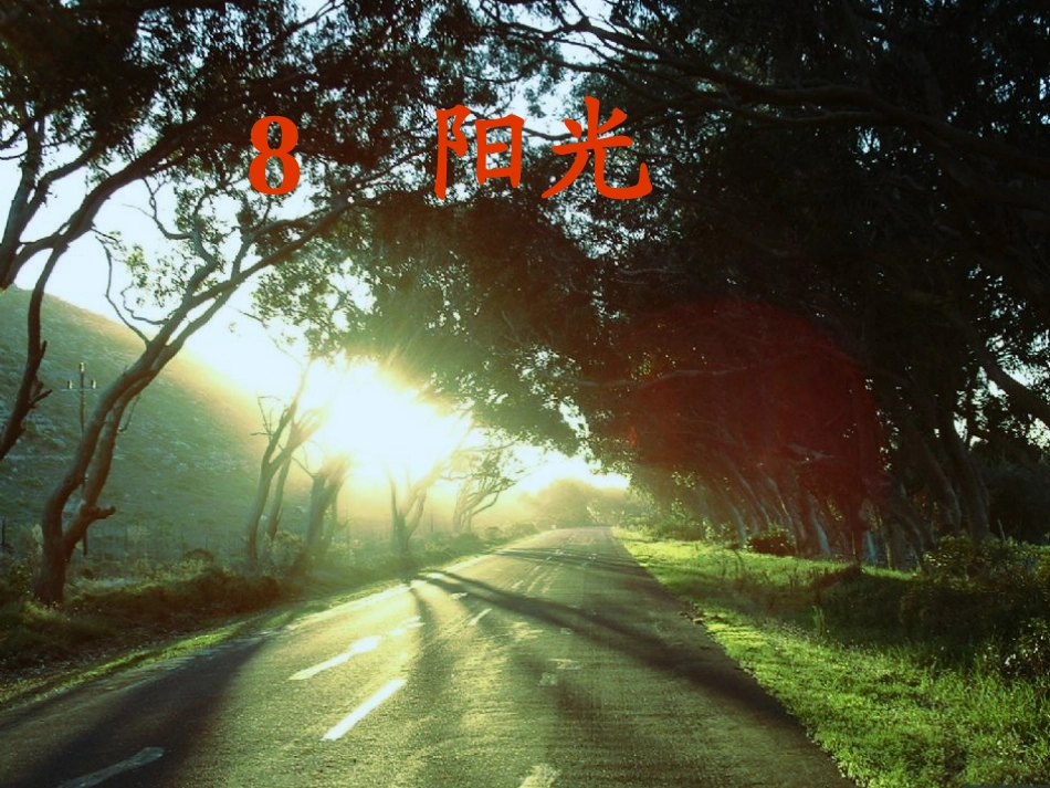 《阳光》原创课件_第3页