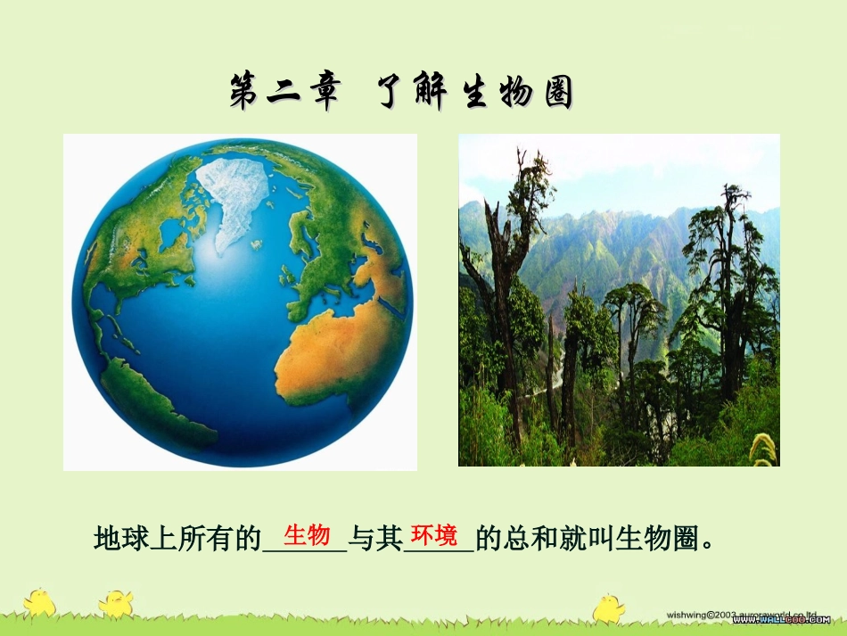 初中生物第一节生物与环境的关系_第1页