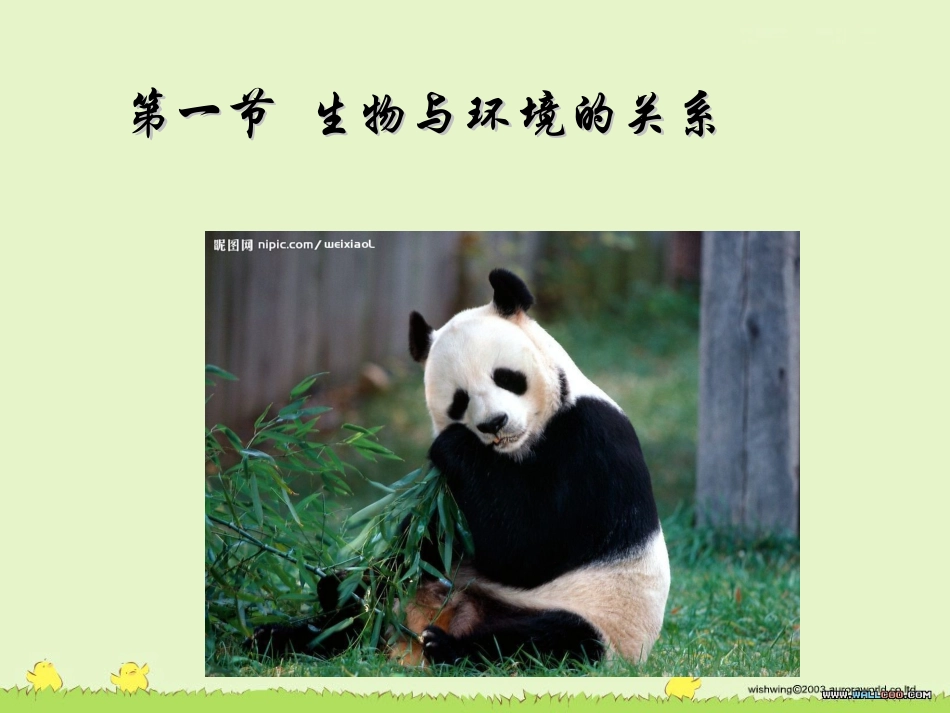 初中生物第一节生物与环境的关系_第2页