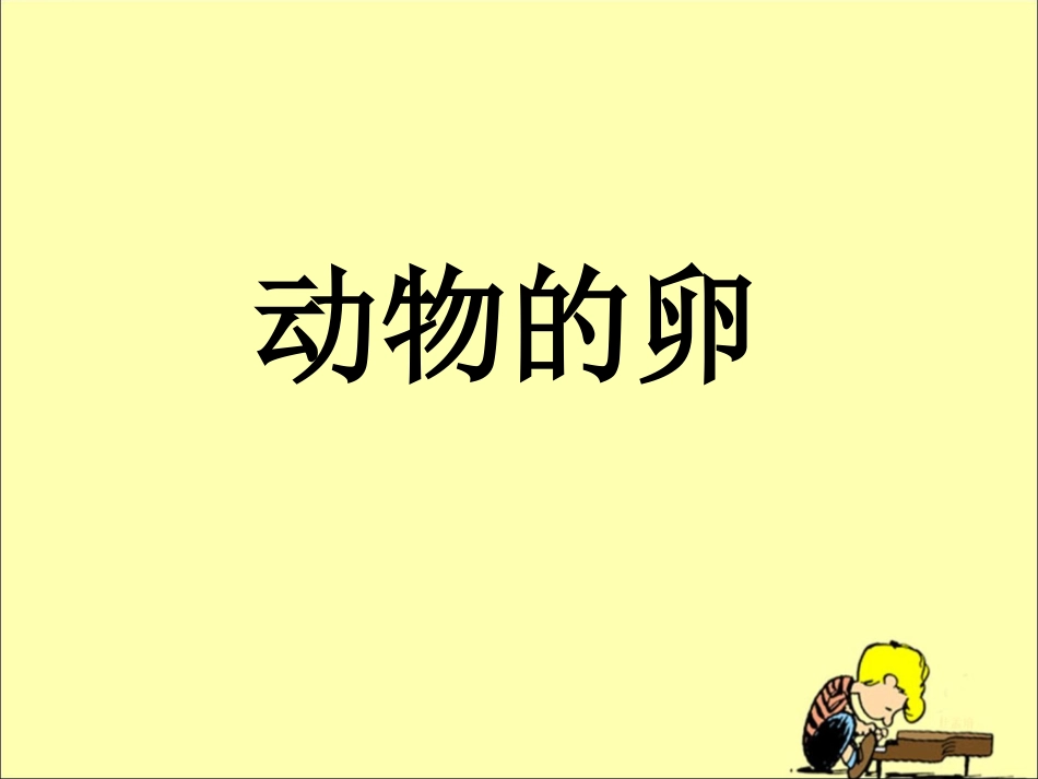 《动物的卵》探究课件_第1页