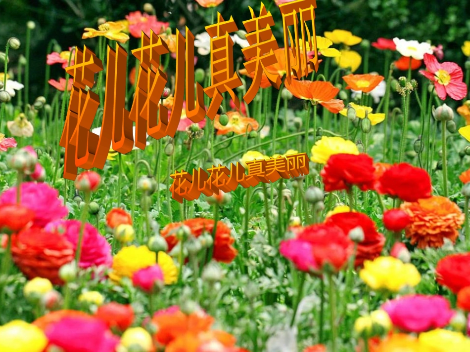 常幻灯片课件《花儿花儿真美丽》_第1页