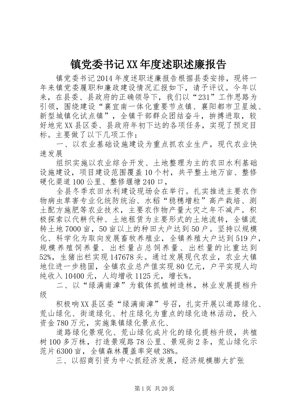 镇党委书记XX年度述职述廉报告_第1页