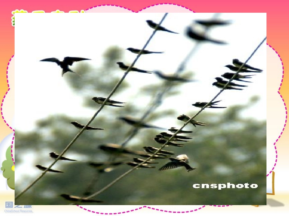 燕子专列课件_第1页