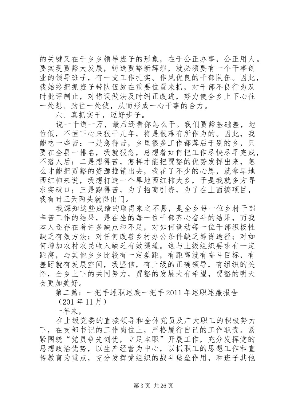 一把手述职述廉报告_第3页