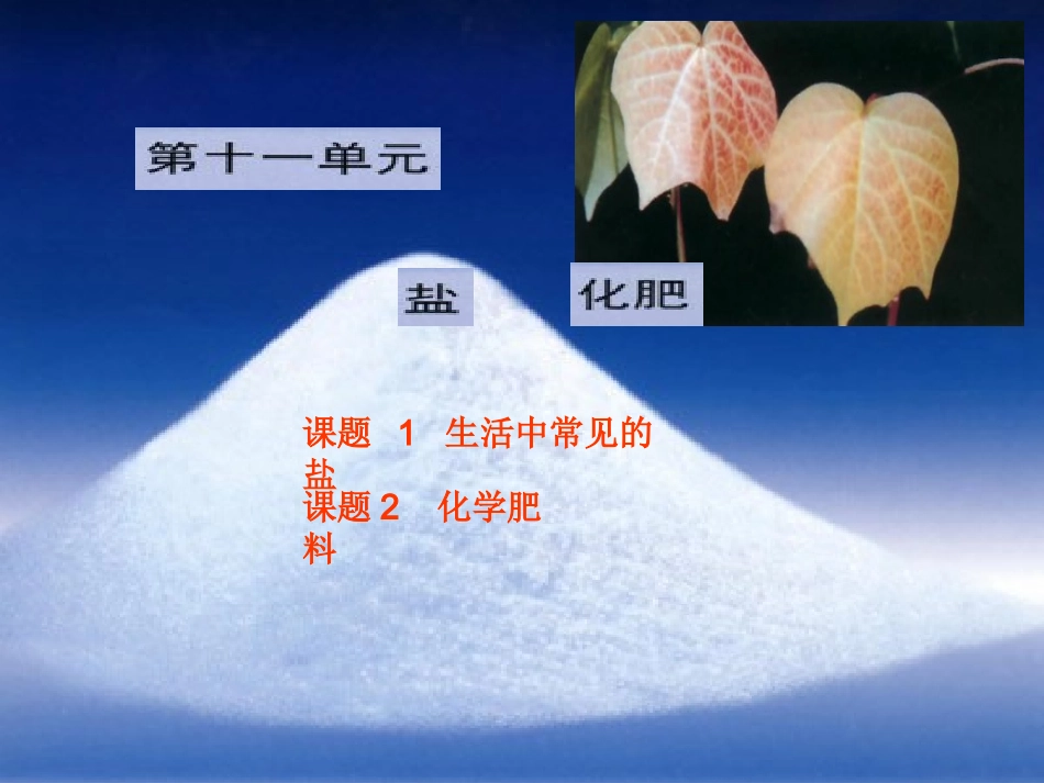 课题1　生活中常见的盐1_第1页