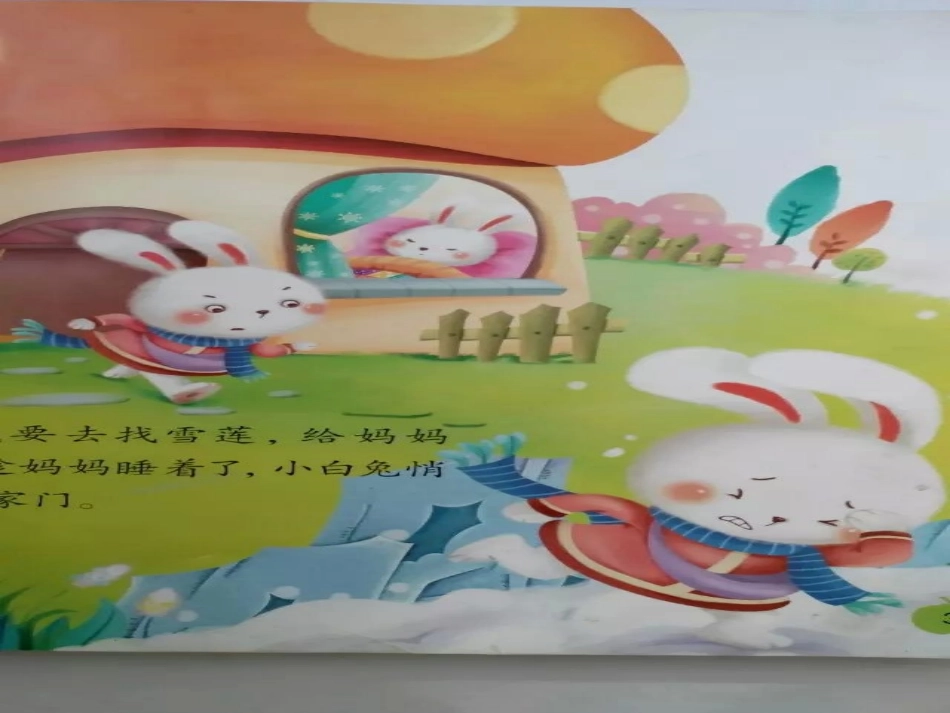 小白兔采雪莲_第3页