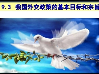 我国外交政策的基本目标和宗旨