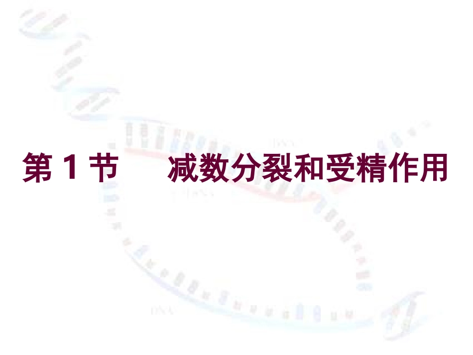 《减数分裂和受精作用》课件_第3页