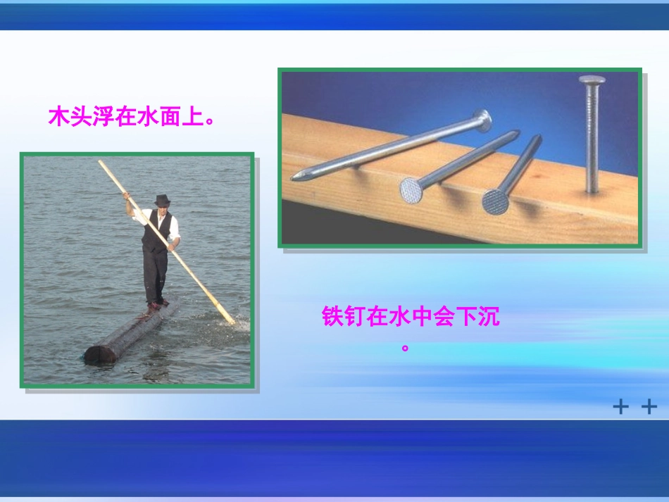 物体的浮与沉 (2)_第2页