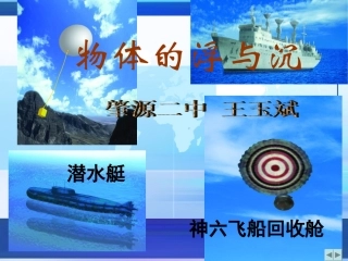 物体的浮与沉 (2)