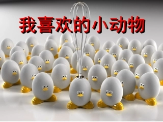 分类指导--描写小动物