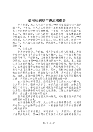 信用社副职年终述职报告