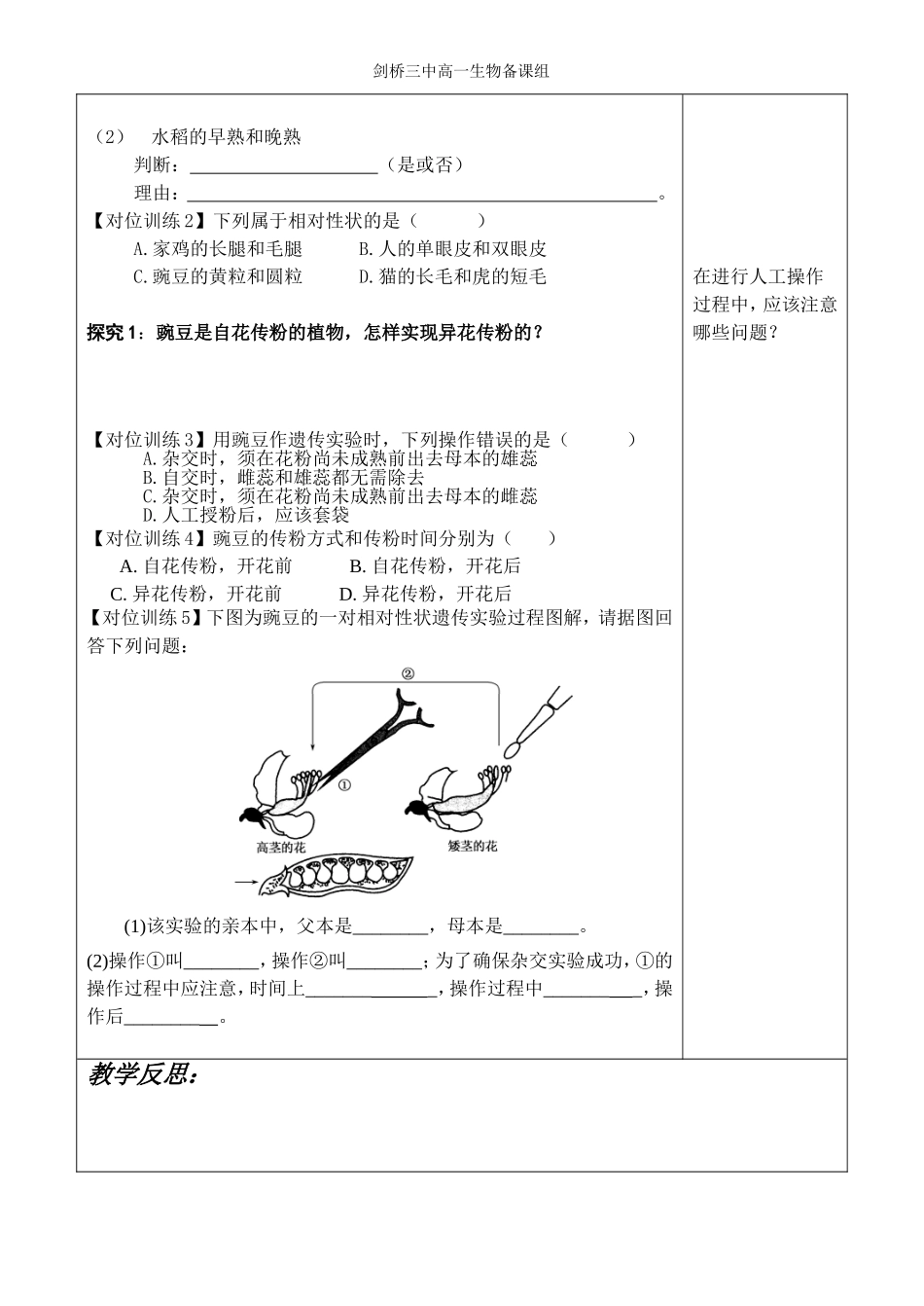 孟德尔豌豆杂交试验一_第2页
