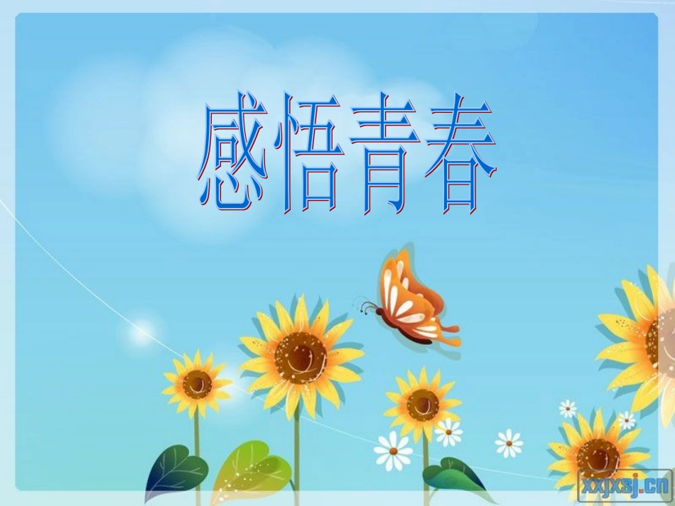 感悟青春 (2)_第1页