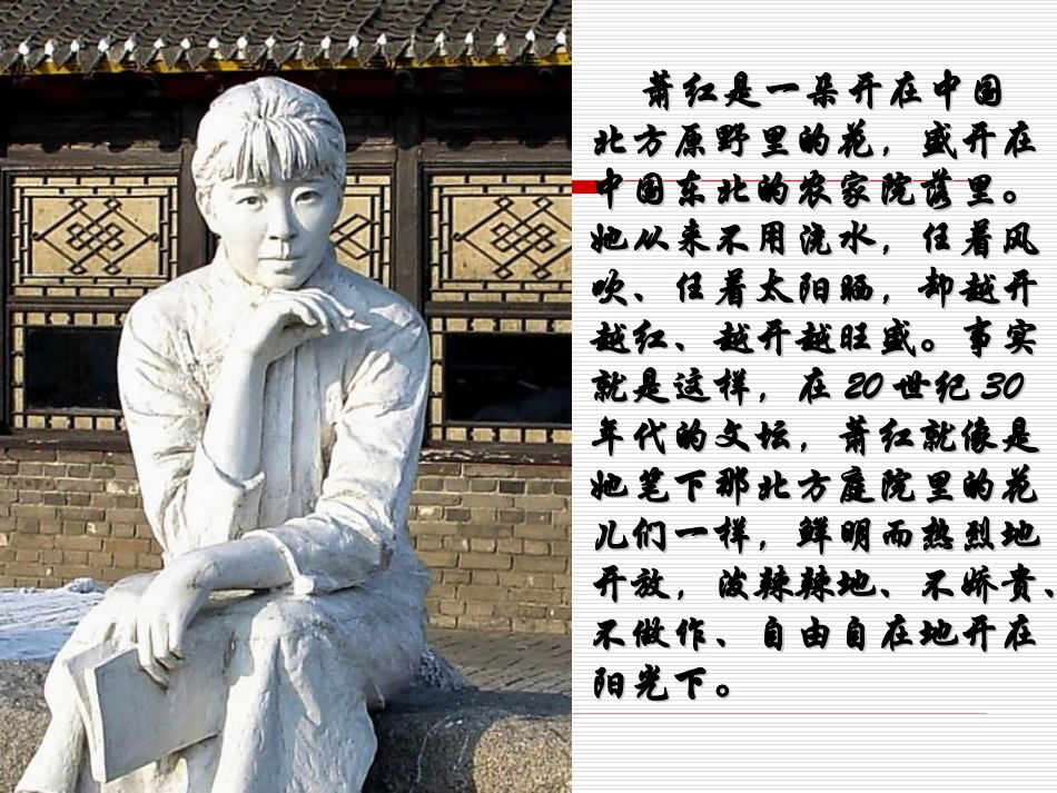 用：呼兰河传_第2页