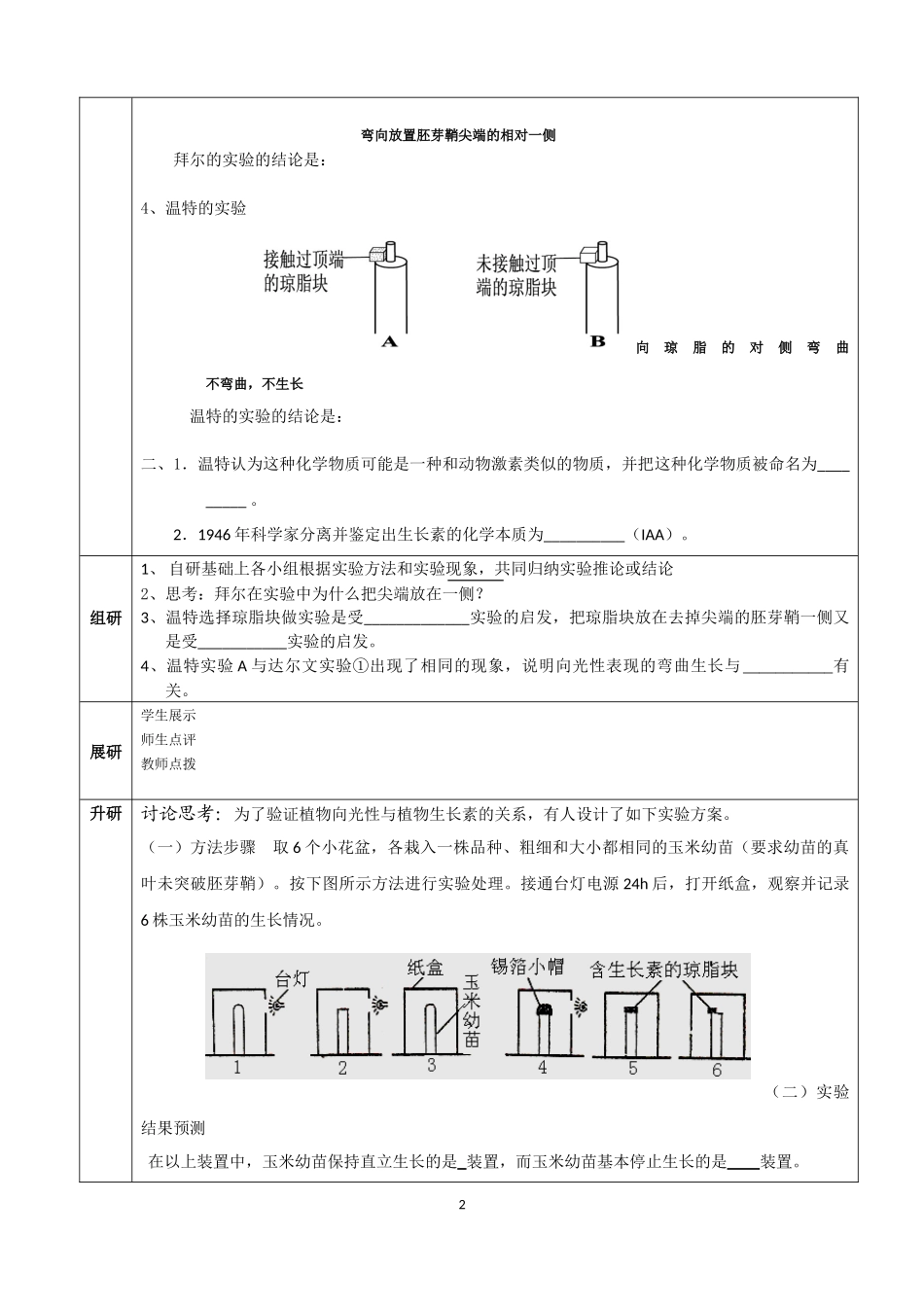 植物生长素的发现导学案_第2页