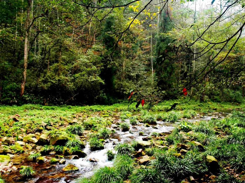 分数加减混合运算（例1）_第3页