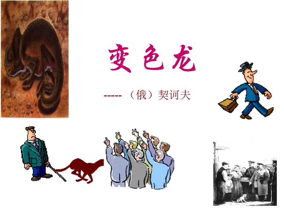 变色龙 (4)_第1页