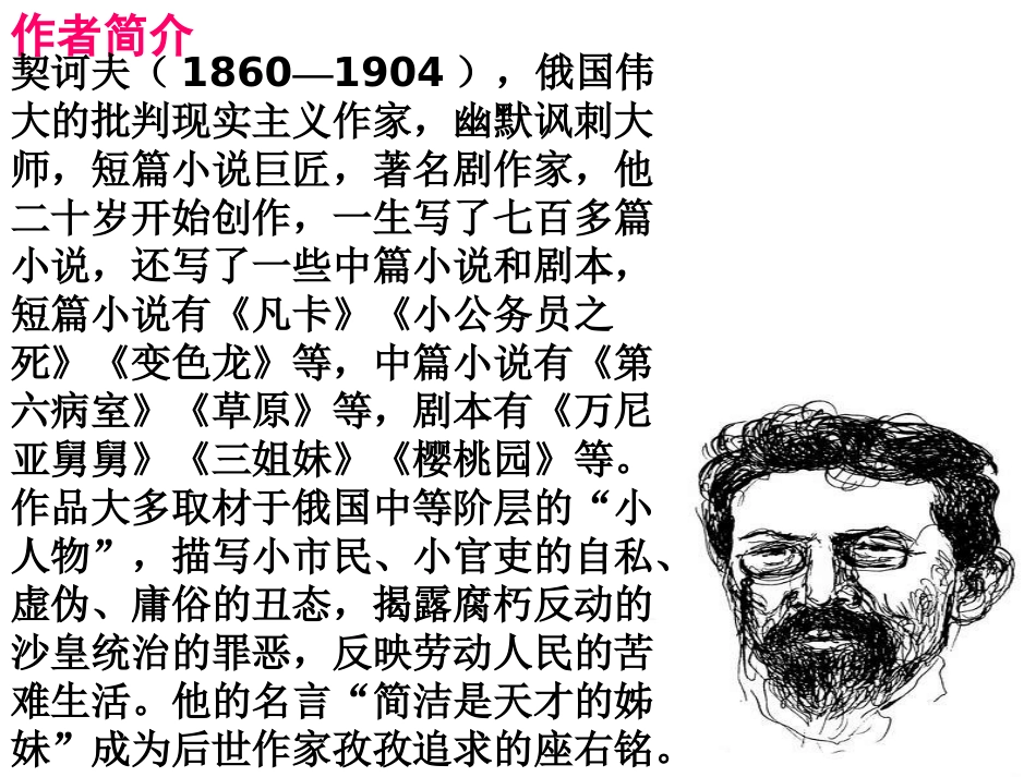 变色龙 (4)_第3页