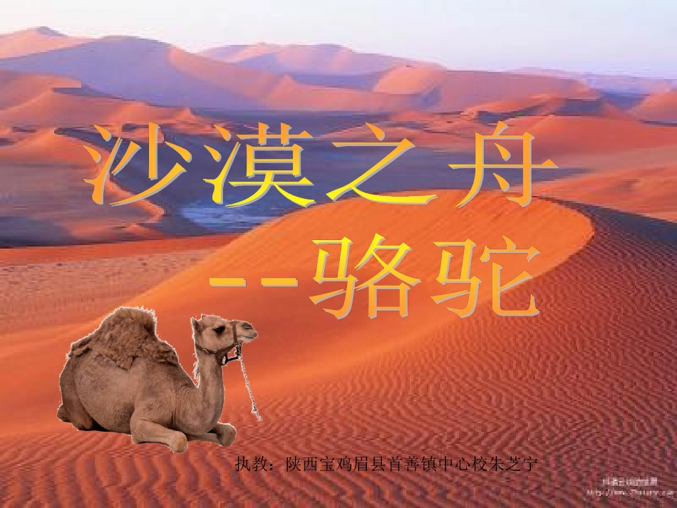 沙漠之舟课件_第1页