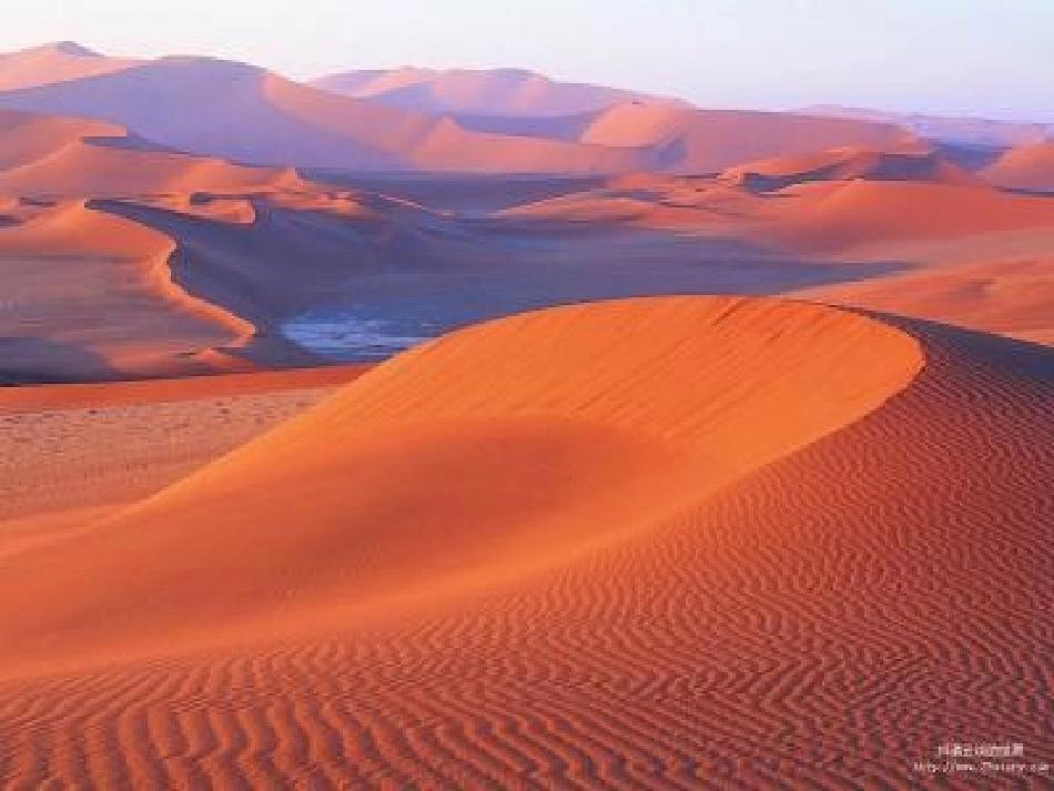 沙漠之舟课件_第2页