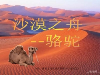 沙漠之舟课件