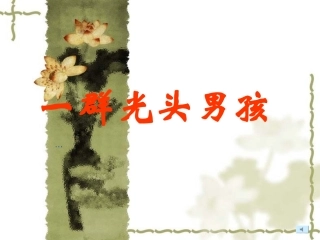 教科版二年级下册《一群光头男孩》PPT课件