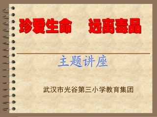 珍爱生命_远离毒品_——禁毒教育