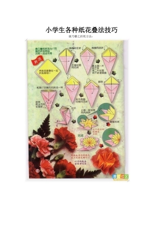小学生各种纸花叠法技巧