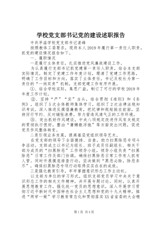 学校党支部书记党的建设述职报告