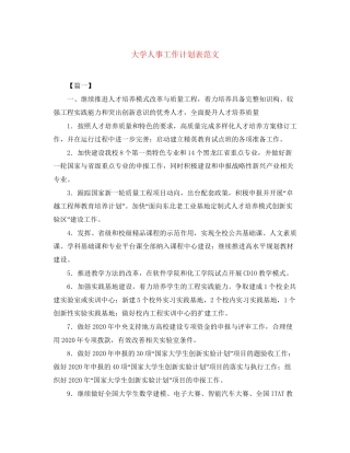 大学人事工作计划表范文2