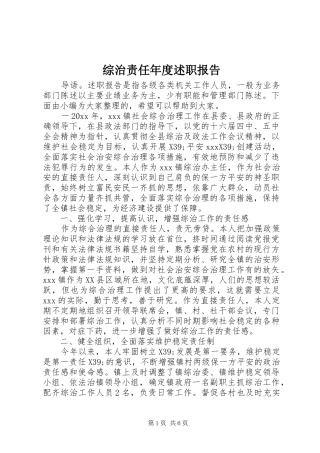 综治责任年度述职报告