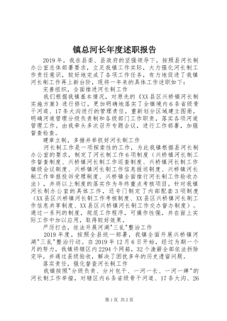 镇总河长年度述职报告