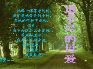 感恩母爱作文指导