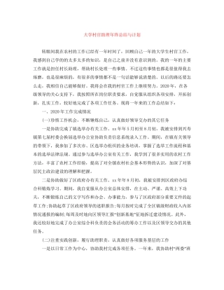 大学村官助理年终总结与计划