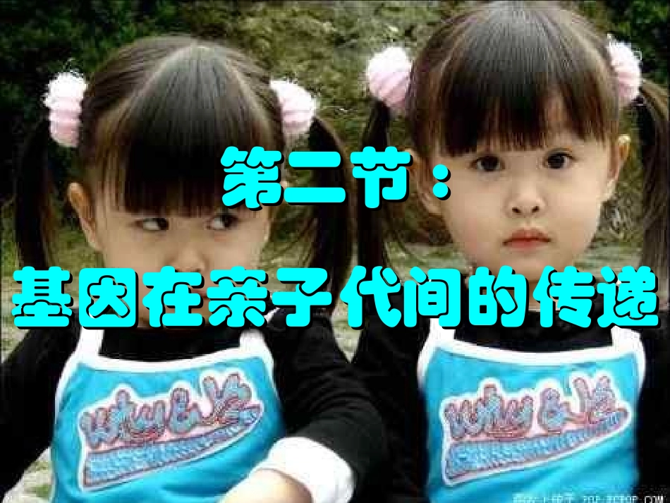 基因在亲子代间的传递_第1页