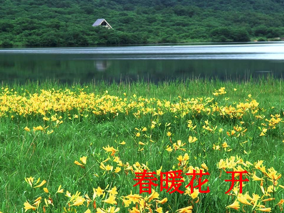 讲课春天在哪里课件_第3页