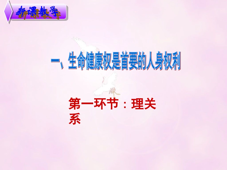 生命和健康的权利_第3页