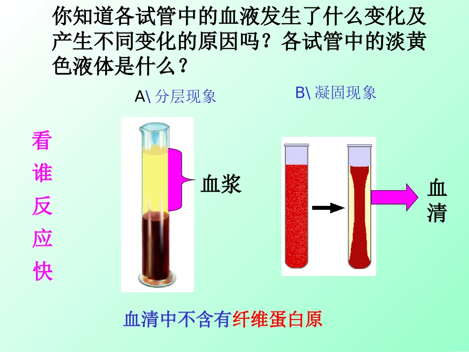 人体内的物质运输复习课_第2页