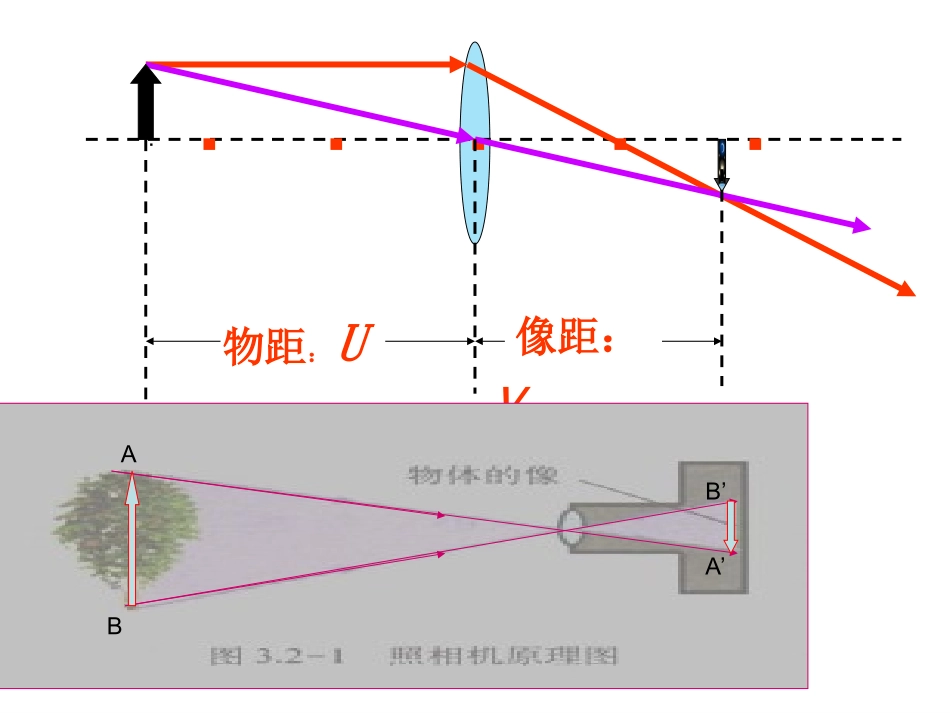 第四节_眼睛与眼镜_第3页