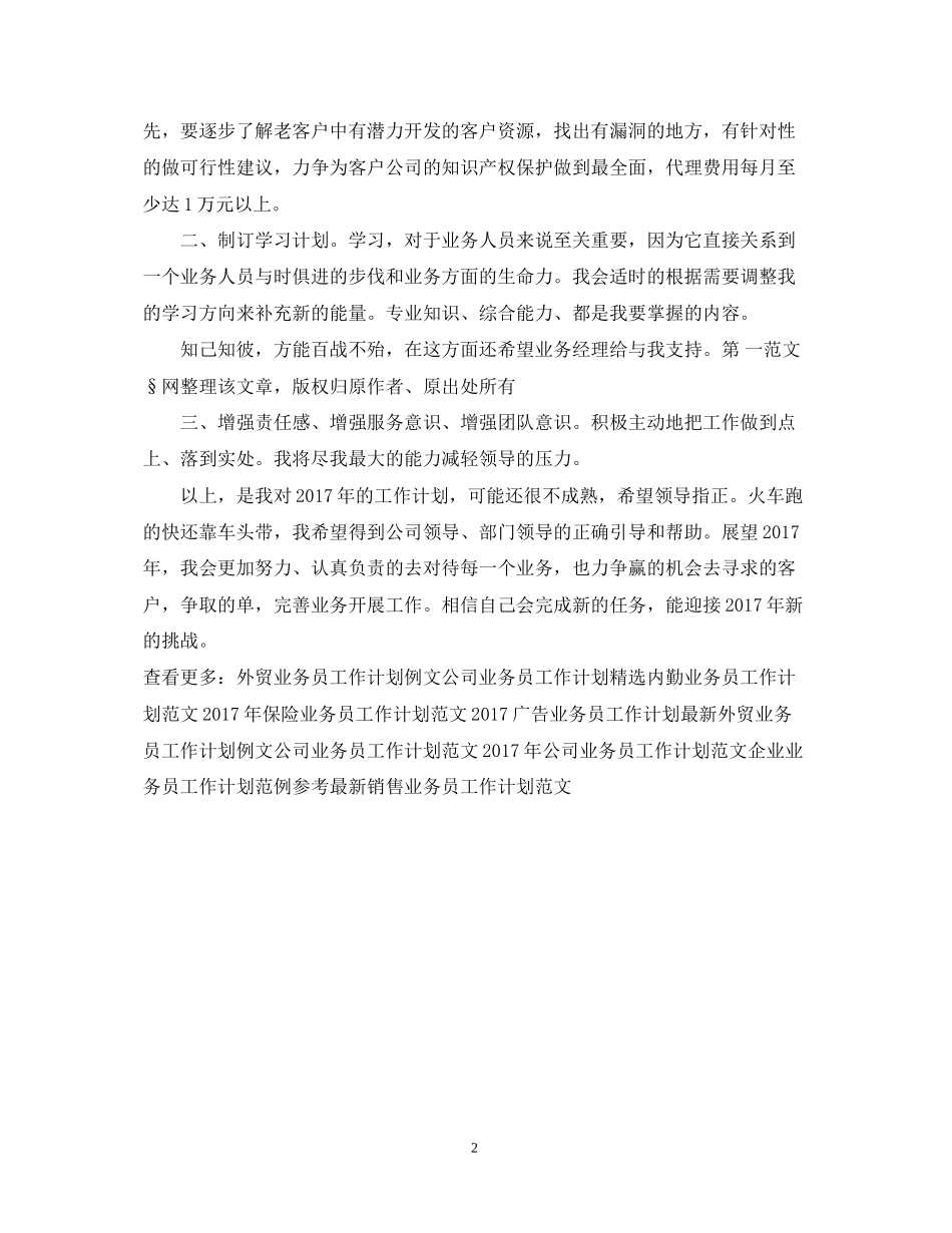 业务员新年工作计划范文_第2页