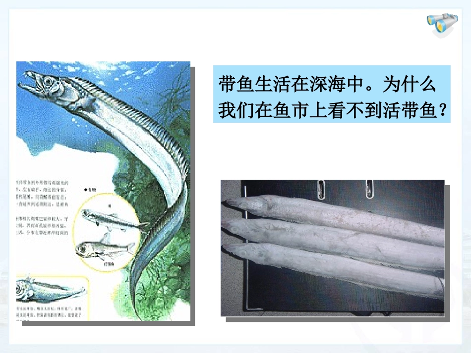 液体的压强 (2)_第2页