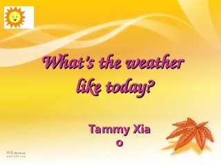 天气~~英语课件