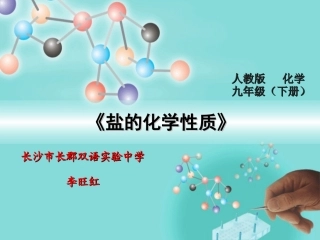 盐的化学性质-李旺红-长郡双语实验中学