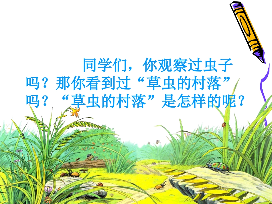 人教版六年级上册《草虫的村落》课件_第2页