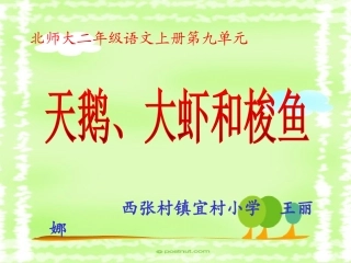 天鹅、大虾和梭鱼课件1